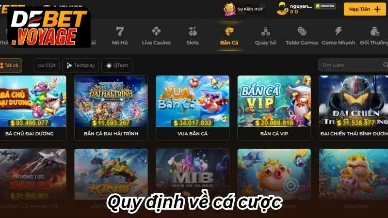 Điều Khoản Debet - Nắm Vững Để Yên Tâm Tham Gia 3 Quy định về cá cược