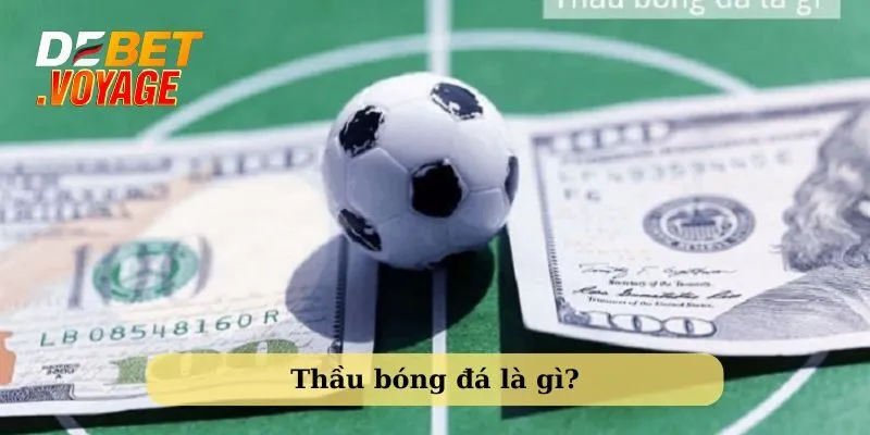 Thầu bóng đá là gì? Tất tần tật những điều Debet chia sẻ 1 Tìm hiểu về thầu bóng đá