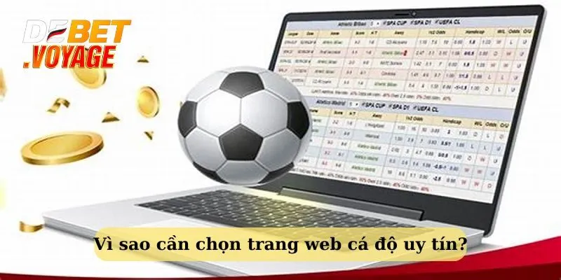Tiêu Chí Chọn Trang Web Cá Độ Uy Tín Cùng Debet 1 Lý do nên chọn trang web cá cược uy tín